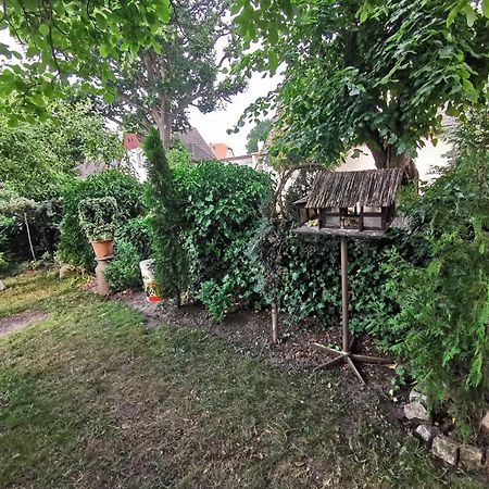 Kwatery U Zisi Miedzyzdroje Luaran gambar